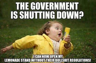 During the american shutdown